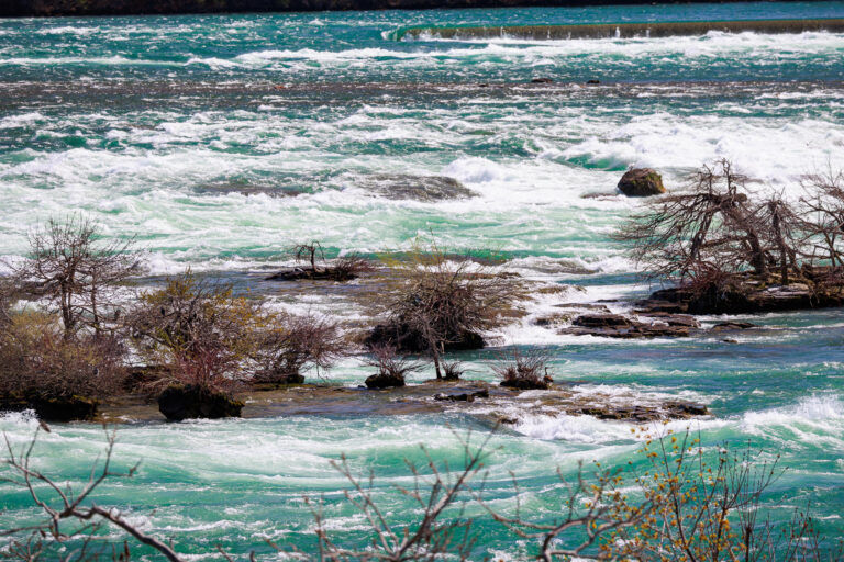 2238_NY Bass_SOA_Photos_Dusan_LR Select_-813