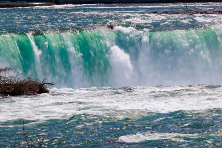 2238_NY Bass_SOA_Photos_Dusan_LR Select_-814