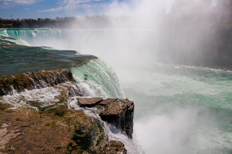 2238_NY Bass_SOA_Photos_Dusan_LR Select_-820